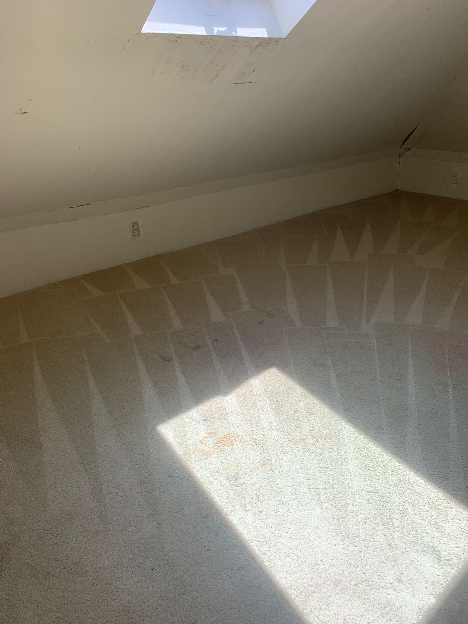 After professional cleaning
